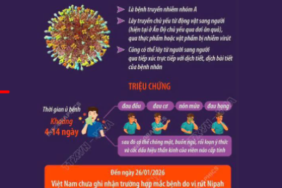 Trường MN Mỹ Thuận thông báo phòng chống dịch bệnh do vi rút NIPAH