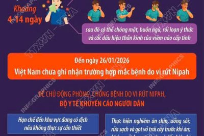 📢 TRƯỜNG MẦM NON MỸ THUẬN THÔNG BÁO ⚠️ CHỦ ĐỘNG PHÒNG CHỐNG DỊCH BỆNH DO VI RÚT NIPAH