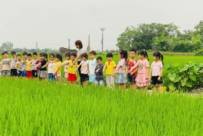 Trường Mầm non Mỹ Thuận tổ chức cho các bé tham quan cánh đồng lúa 🌾🌾